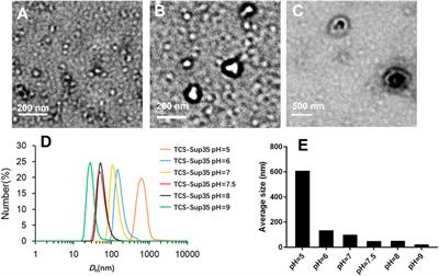 Self-assembling and pH-responsive protein nanoparticle as potential platform for targeted tumor therapy